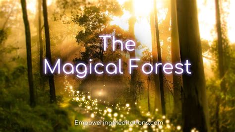 Immerse Yourself in the Enchanting Soundscape of a Magical Forest
